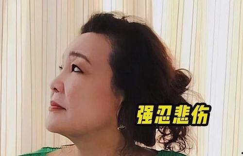 孟贺最新爆料消息视频大全,揭秘事件真相与幕后黑幕 第1张 孟贺最新爆料消息视频大全,揭秘事件真相与幕后黑幕 第1张